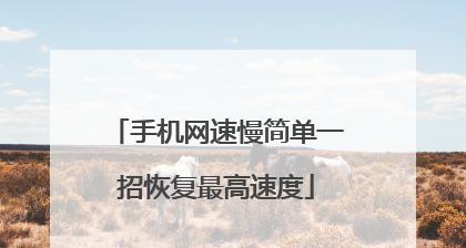 电脑网速慢（提升电脑网速的简单方法）