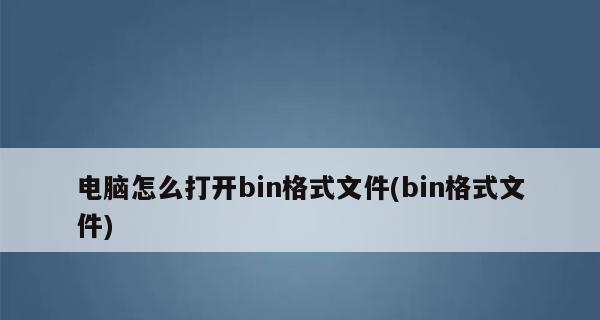 Bin文件格式及其应用领域（探索Bin文件的结构和用途）