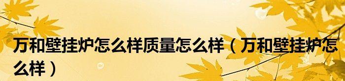 万和壁挂炉维修方法详解（轻松解决壁挂炉常见问题）