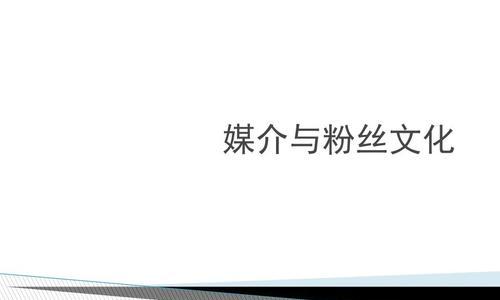 粉丝网站有哪些特点？如何参与粉丝文化？