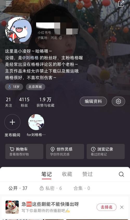 小红书涨粉有哪些实用技巧？如何有效增加粉丝？