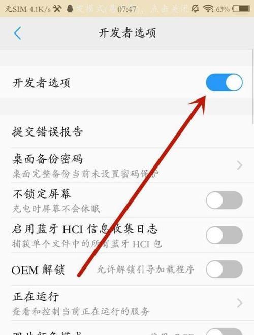 怎么进入开发者模式？详细步骤和常见问题解答？