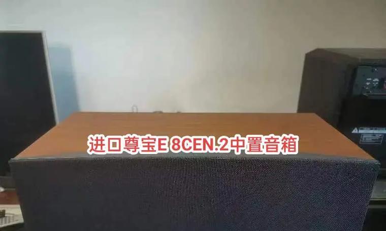 尊宝中置音箱推荐品牌级别如何？哪个品牌更值得信赖？